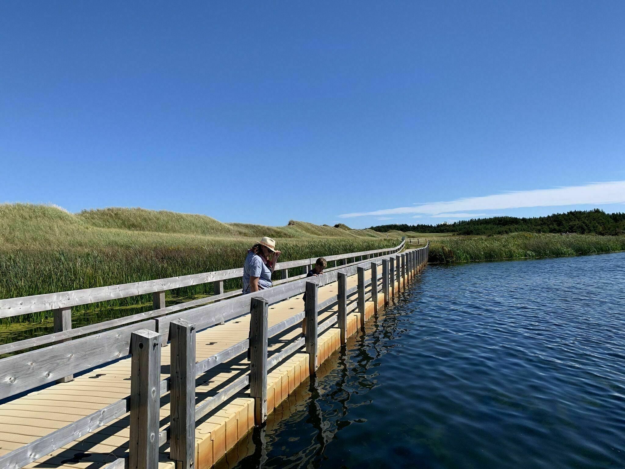 Cavendish Beach And Dunelands - Cavendish Beach