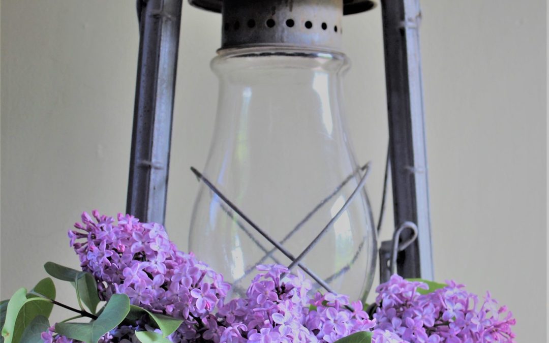 Lilacs and Lanterns
