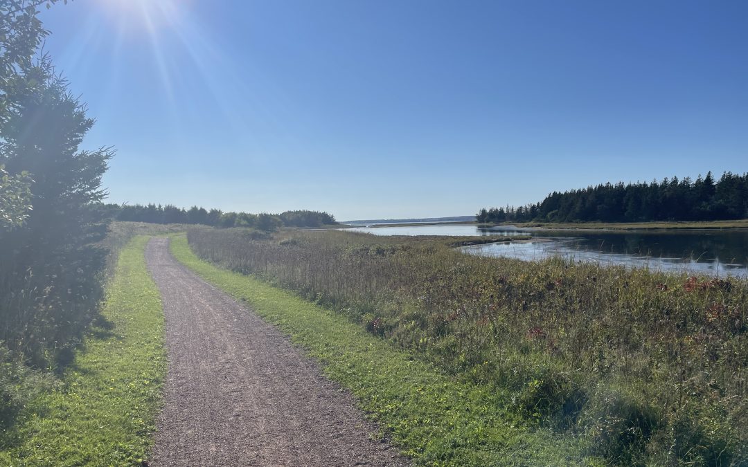 Homestead Trail – MacNeill Loop