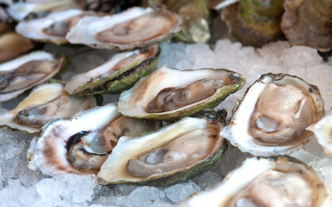 $1 Oysters at Shaw’s Hotel