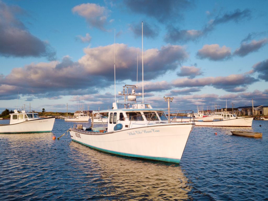 Your Kids are Sure to Love this Adventure - Deep Sea Fishing in North  Rustico! - Cavendish Beach
