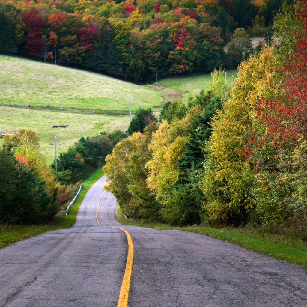 pei road with red, yellow, and green fall leaves