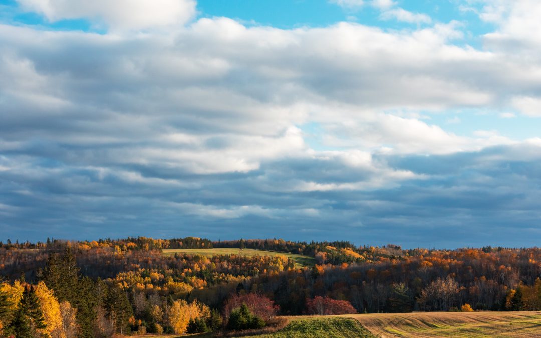 What to Do in Cavendish in Fall