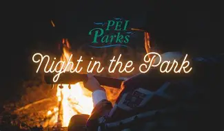 Night in the Park Concert Series