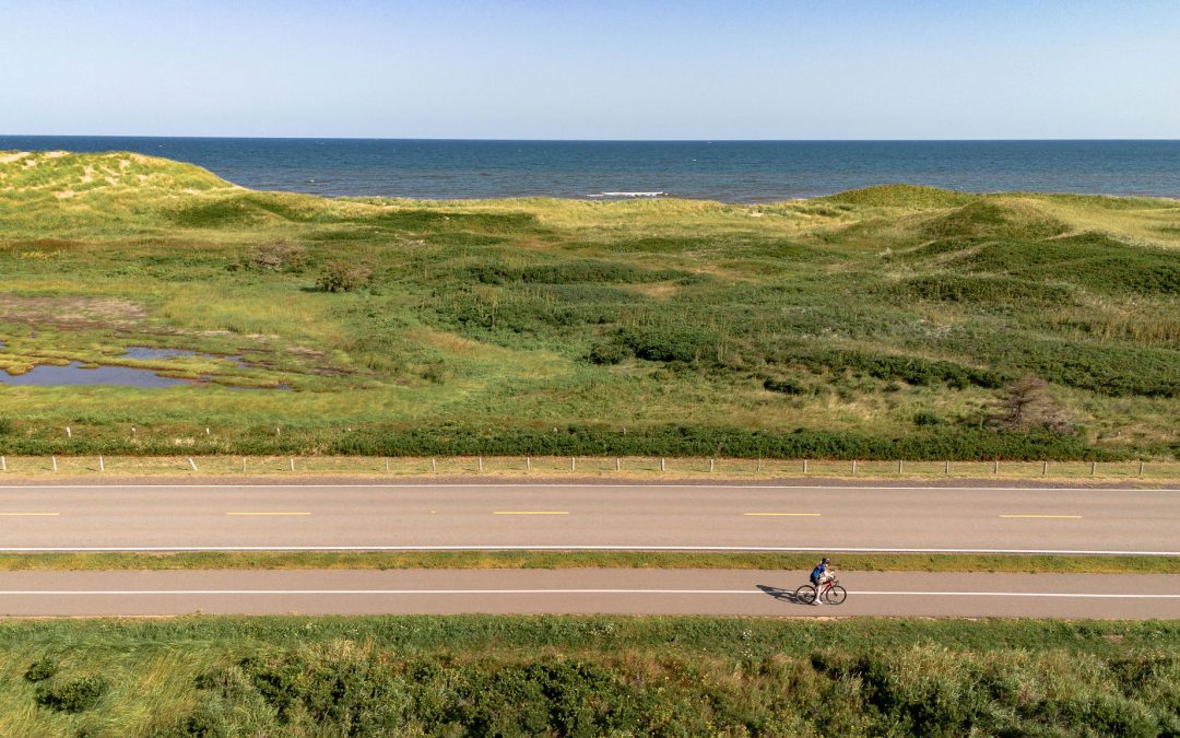 Coastal Wellness