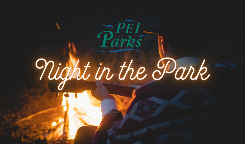 Cabot Beach Night in the Park