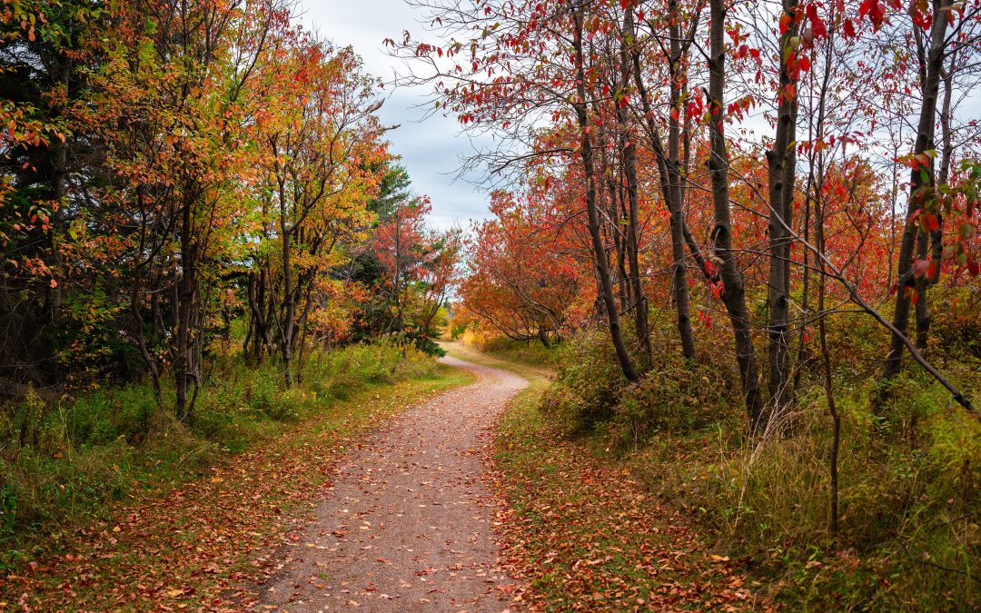 Cavendish PEI in Fall: September & October Travel Guide